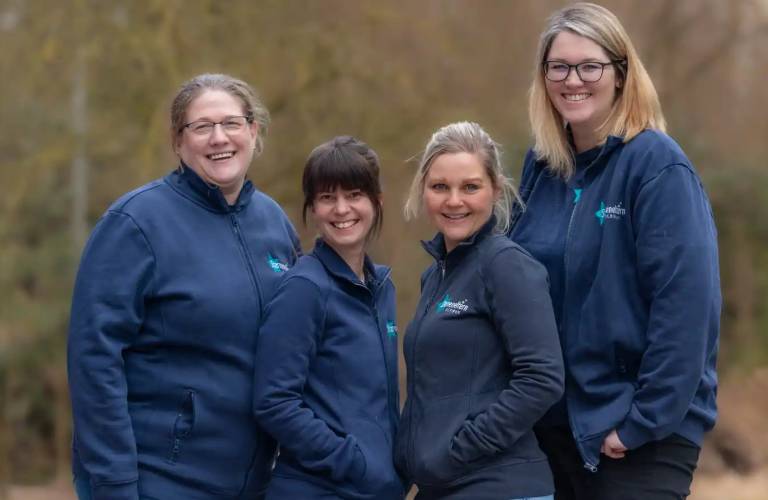 Achimer Sterneneltern: Ein sicherer Ort für trauernde Familien